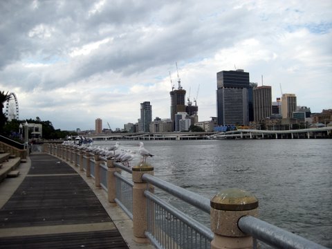 A trip into South Bank, Brisbane