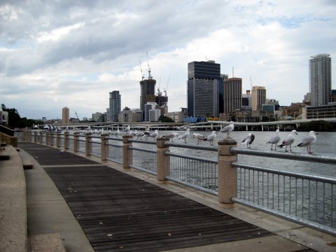 A trip into South Bank, Brisbane