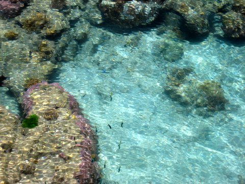 An incredibly beautiful trip to Green Island