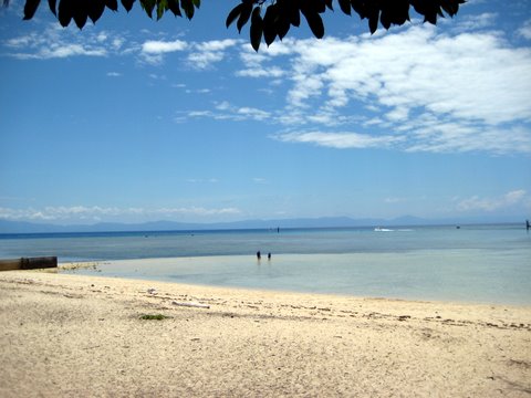 An incredibly beautiful trip to Green Island