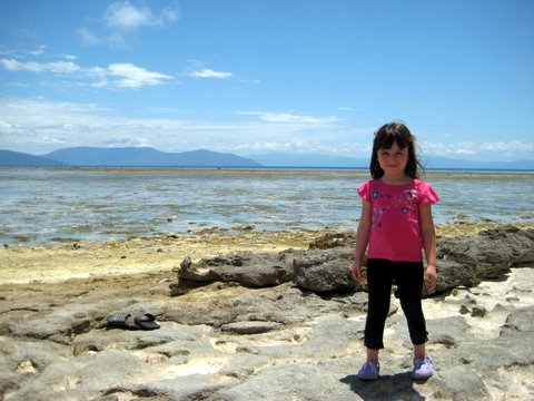 An incredibly beautiful trip to Green Island