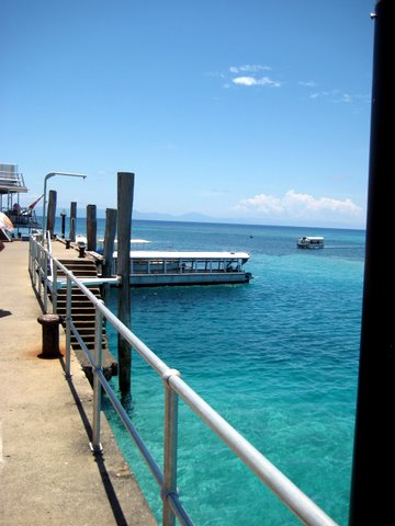 An incredibly beautiful trip to Green Island