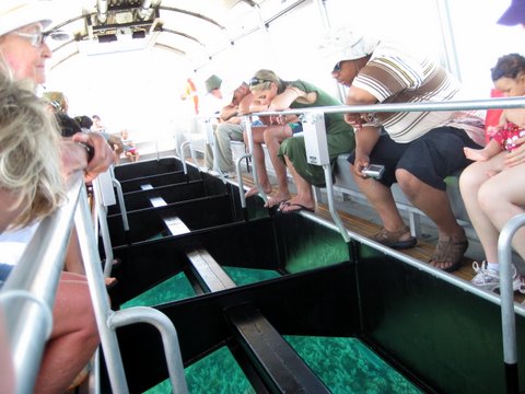 An incredibly beautiful trip to Green Island