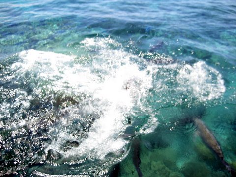 An incredibly beautiful trip to Green Island