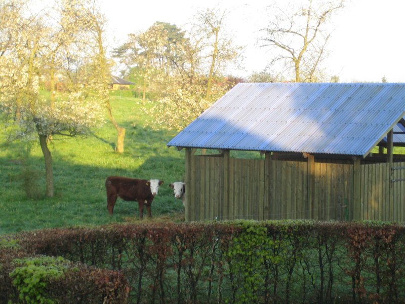 Guesthouse