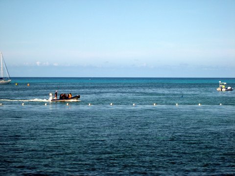 An incredibly beautiful trip to Green Island