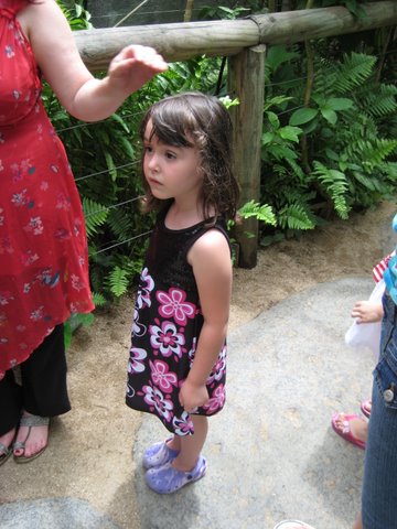 Kuranda Butterfly Sanctuary