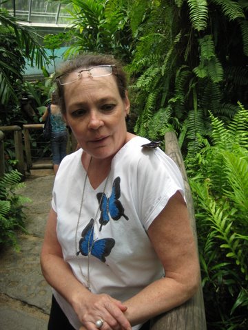 Kuranda Butterfly Sanctuary