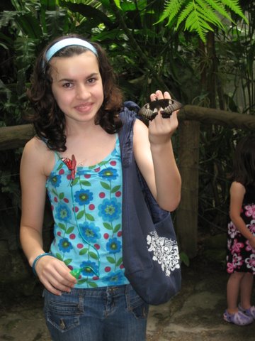 Kuranda Butterfly Sanctuary
