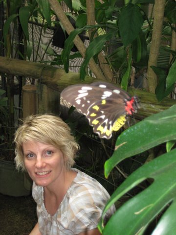 Kuranda Butterfly Sanctuary