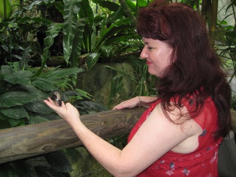 Kuranda Butterfly Sanctuary