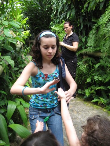 Kuranda Butterfly Sanctuary