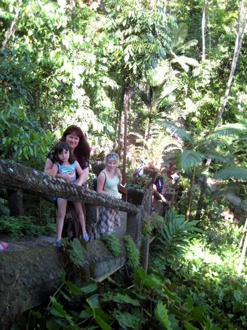 A trip to Paronella Park