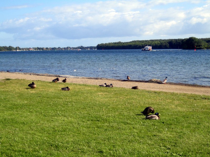 Svendborg Harbour