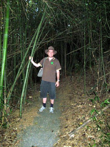 A trip to Paronella Park
