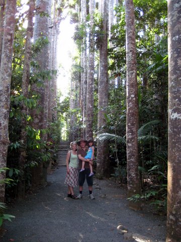 A trip to Paronella Park