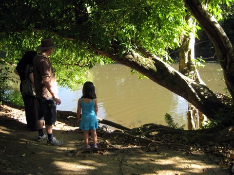 A trip to Paronella Park
