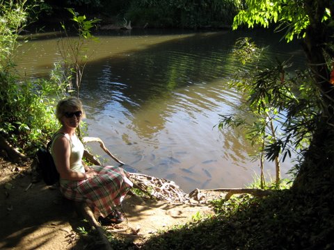 A trip to Paronella Park