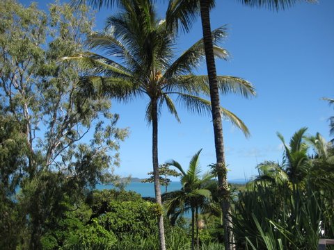The Elandra Resort
