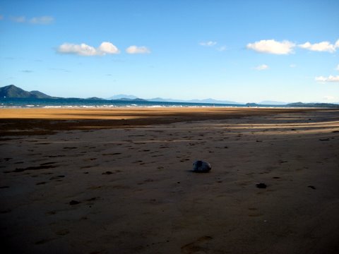 Mission Beach