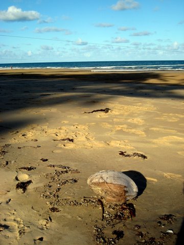 Mission Beach