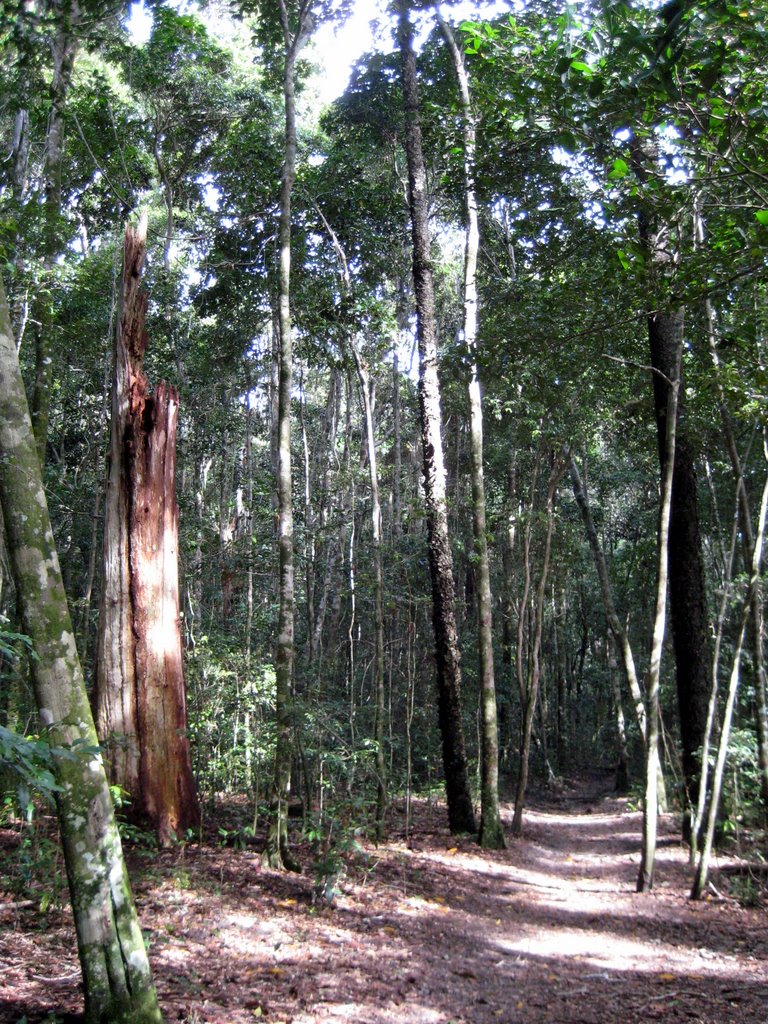 Peregian Beach - Maleny and Montville