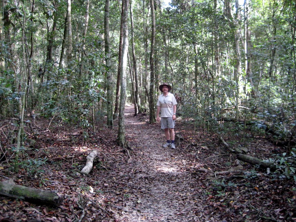 Peregian Beach - Maleny and Montville