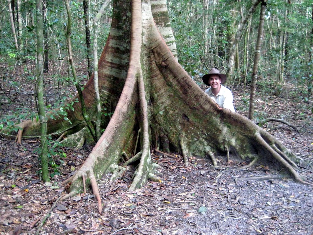 Peregian Beach - Maleny and Montville
