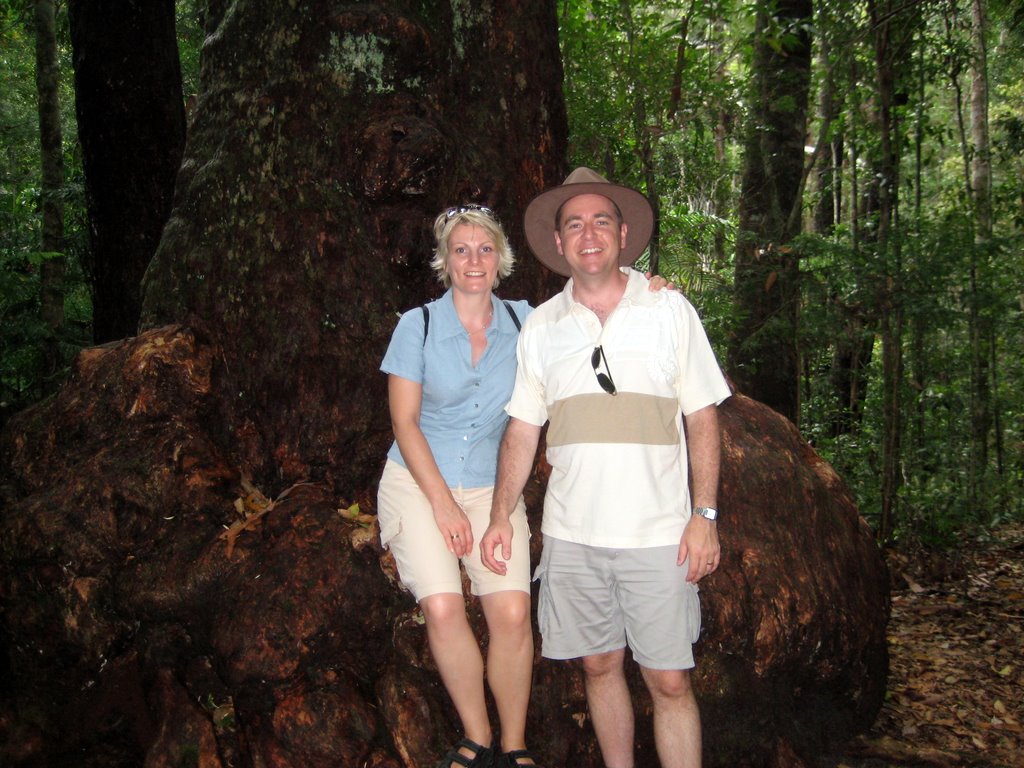 Peregian Beach - Maleny and Montville