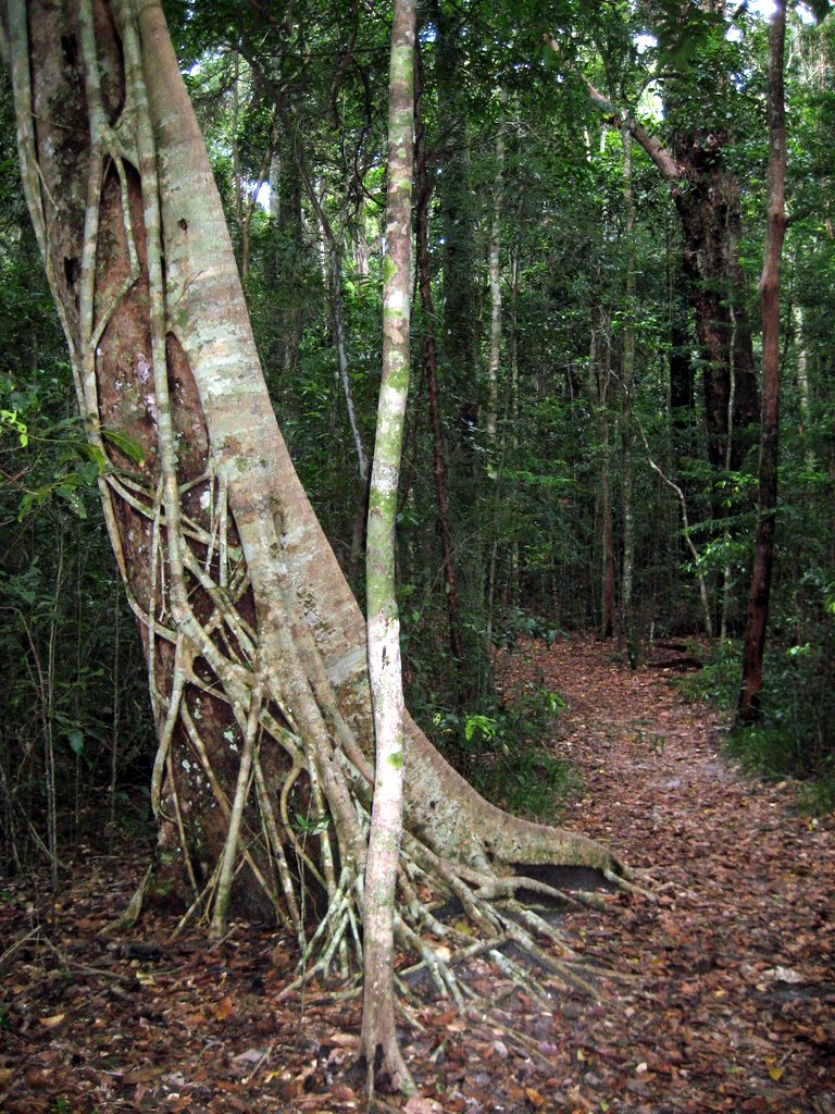 Peregian Beach - Maleny and Montville