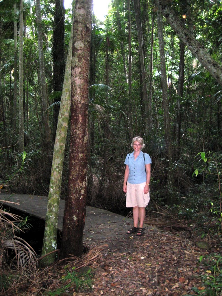 Peregian Beach - Maleny and Montville
