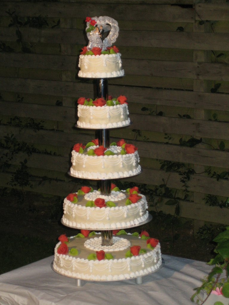 Babak & Sahnaz, part 5: Photos and cutting the cake
