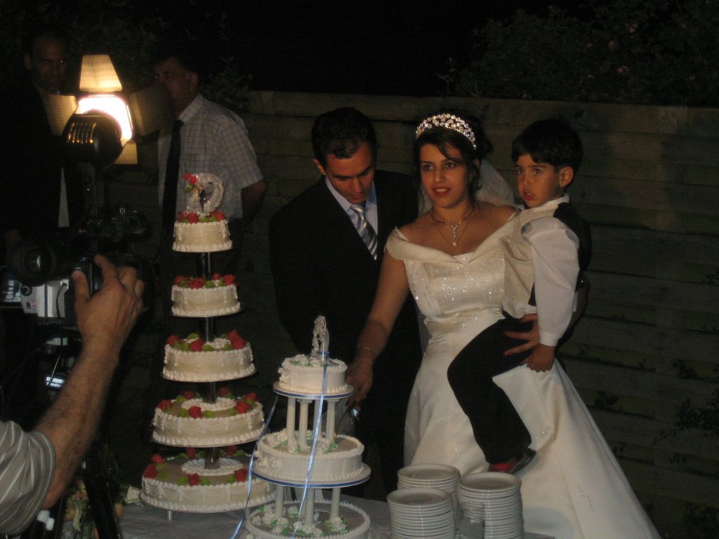 Babak & Sahnaz, part 5: Photos and cutting the cake