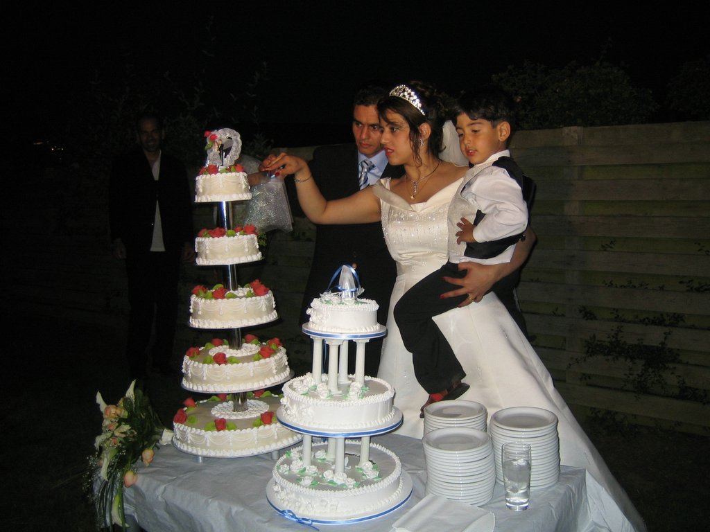 Babak & Sahnaz, part 5: Photos and cutting the cake