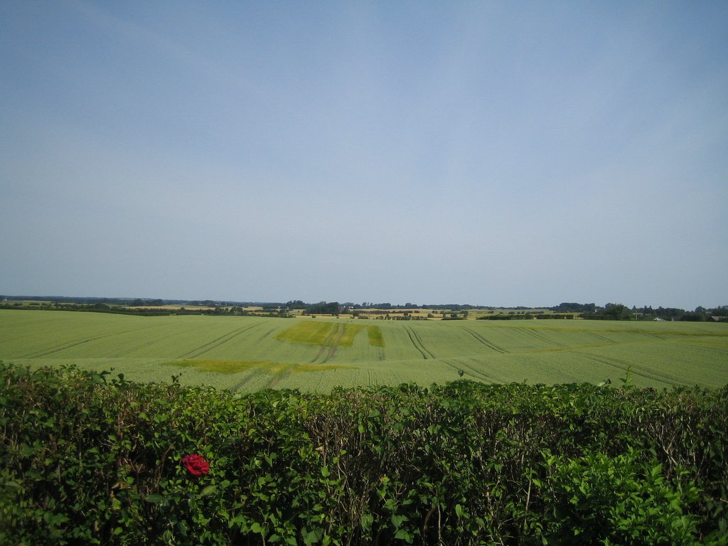 Photos from Jellinge