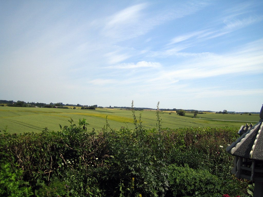 Photos from Jellinge