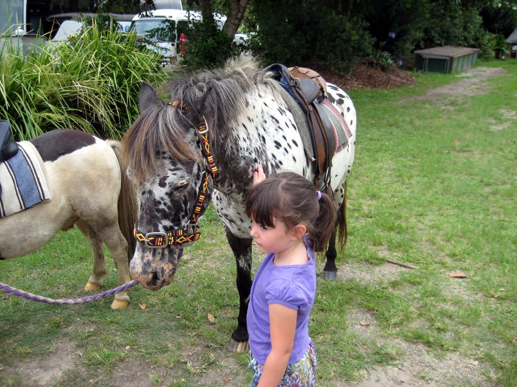 A trip to Eumundi markets