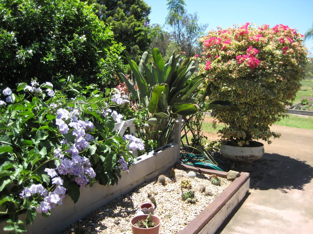 Bae has an amazing garden!