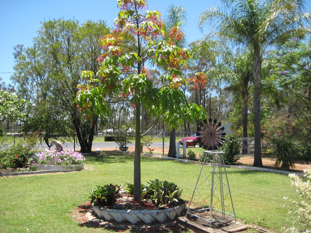Bae has an amazing garden!