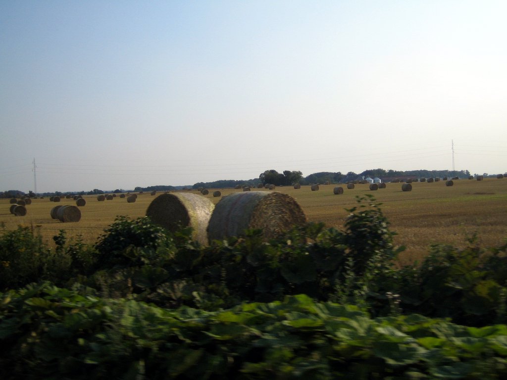 A trip to Sydfyn!