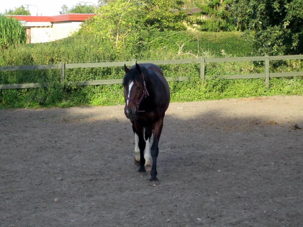 Guess who is over for dinner?