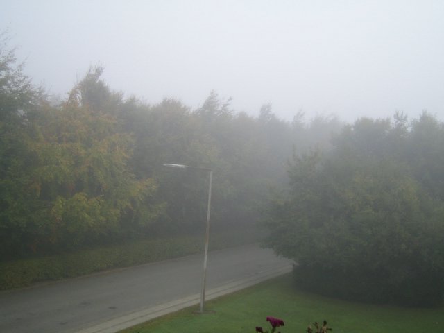 Foggy weather