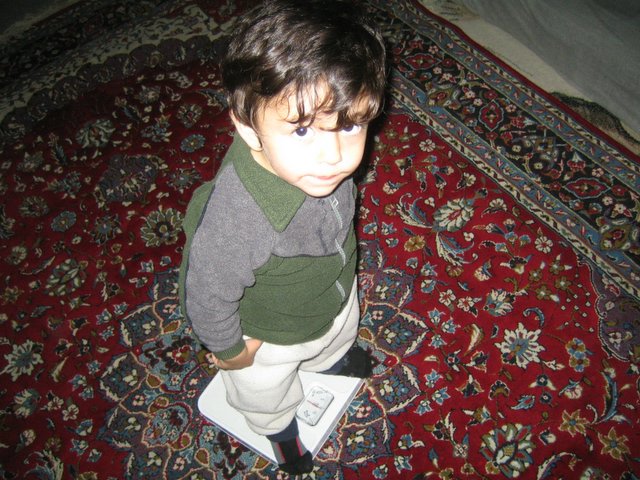 Fun at Arman and Mahsumeh's place