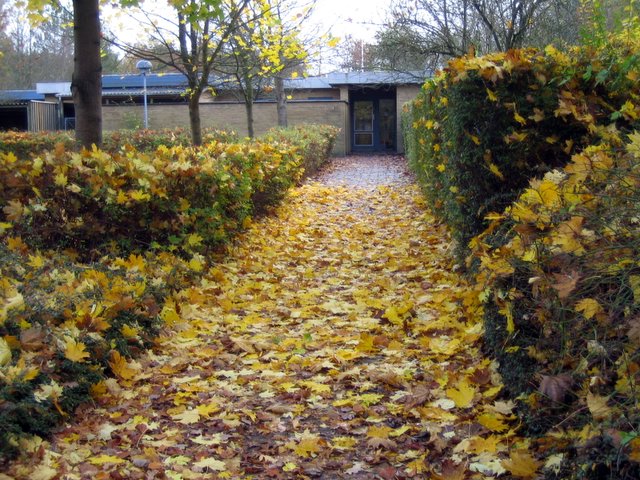And all the leaves are... leaving!