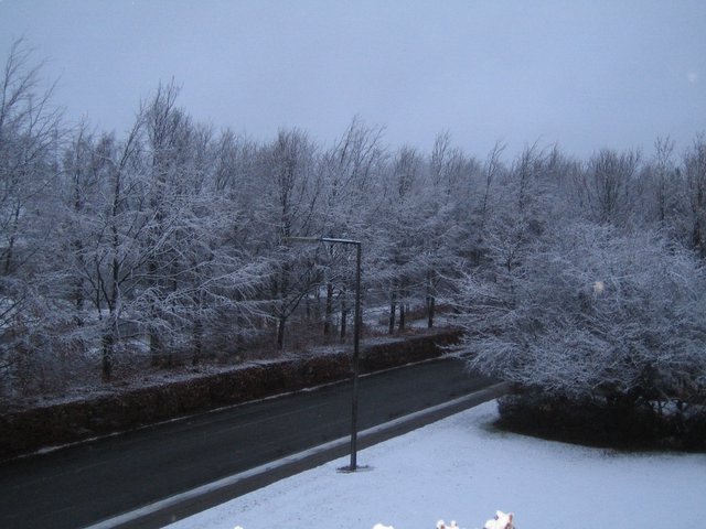 Friday morning: snow