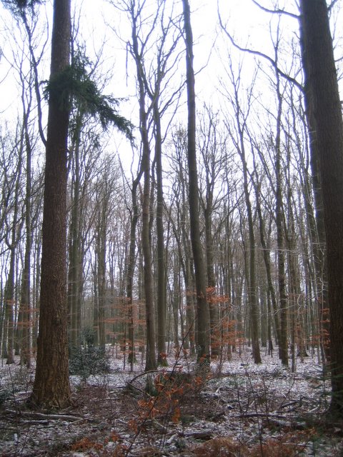 Het Loo Castle