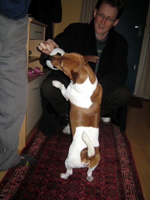 Artaxerxes' dog and cat