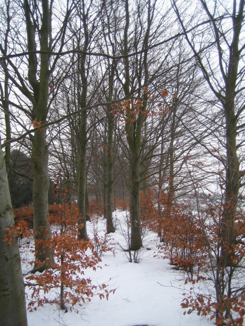 Ice and snow
