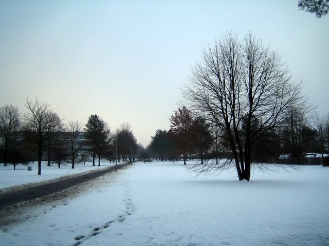 Ice and snow