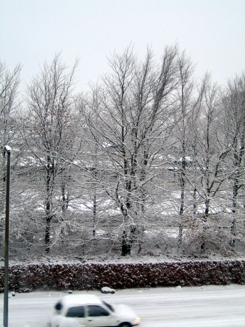 Snow Snow Snow